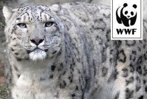 WWf calendario animali estinzione