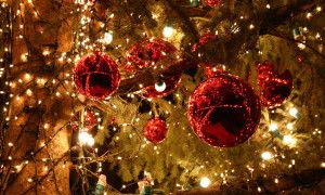 wifi lento natale