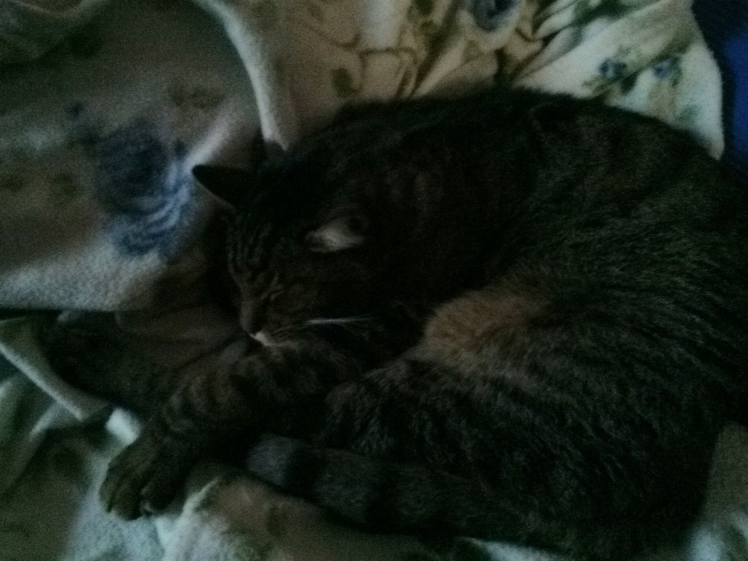 20151129162056