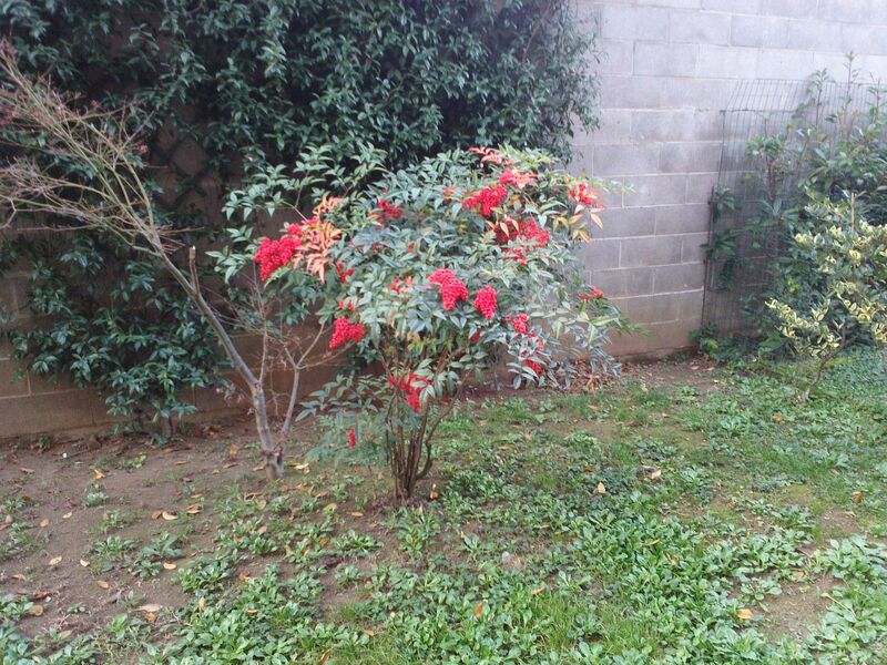 20151218152436