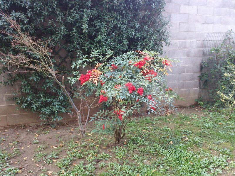 20151218152440