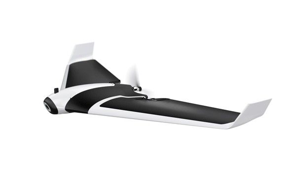 parrot disco
