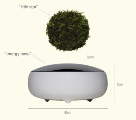 air bonsai