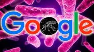 google unicef virus zika