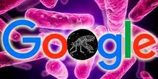 google unicef virus zika