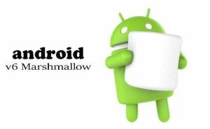 marshmallow