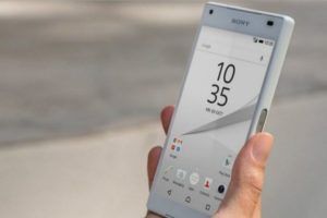 Sony