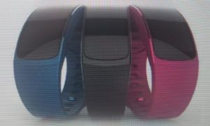 Samsung Gear Fit 2