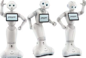 pepper