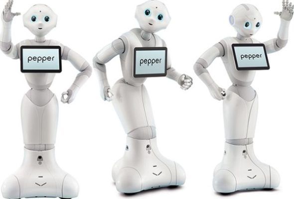 pepper