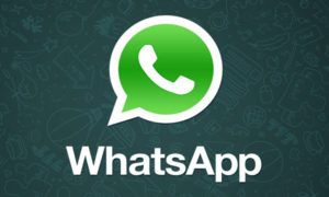 whatsapp beta
