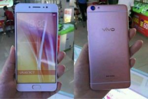 Vivo
