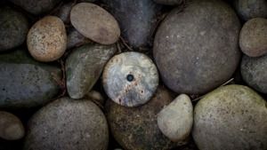 Runcible