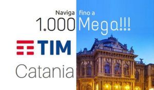 TIM