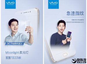 Vivo