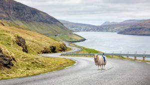 isole faroe