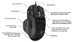 mouse