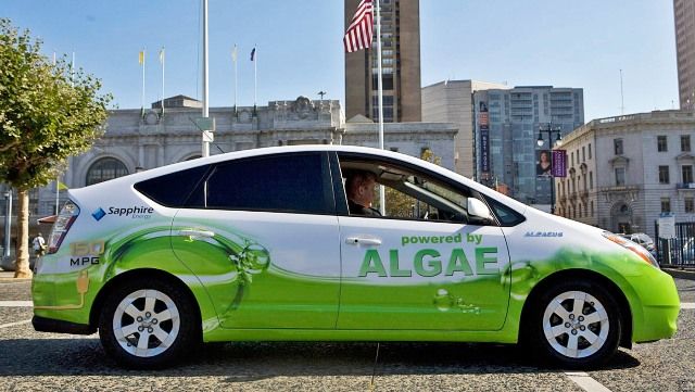 toyota-pryus-algaeus