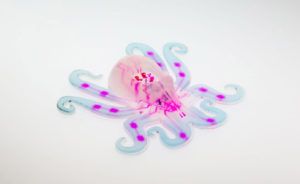 Octobot soft-robot completamente autonomo