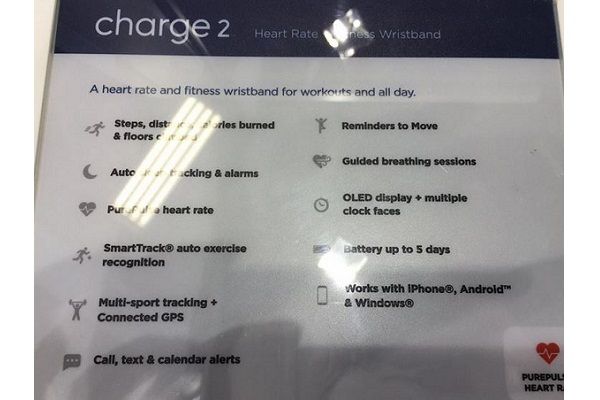 1 FitBit