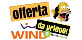 Wind All Inclusive Unlimited Limited Edition