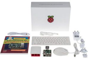 Raspberry