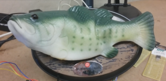 pesce animatronico come interfaccia per Alexa