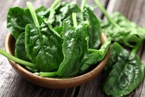 Nuove frontiere della nanotecnologia grazie agli spinaci