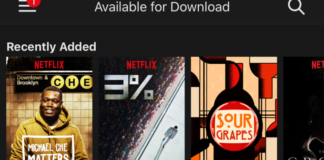 Netflix: Guida al download