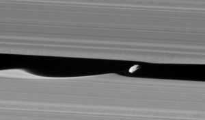 cassini