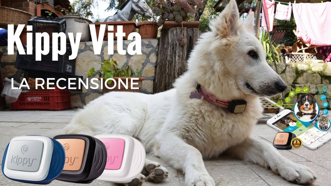 Kippy Vita, recensione del migliore GPS per Cani e Gatti