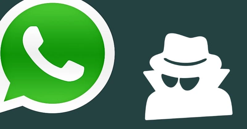 Live Location Tracking, polemica sulla nuova funzione di WhatsApp anti ...