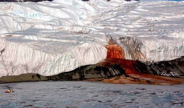cascate di sangue