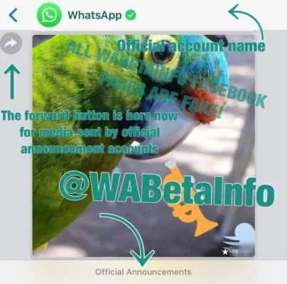 whatsapp business 2