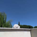 Confronto fotocamere