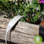 Cellularline Collar