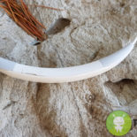 Cellularline Collar