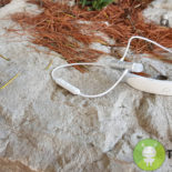 Cellularline Collar