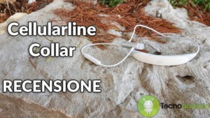 Cellularline Collar