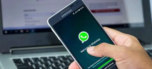 whatsapp novità