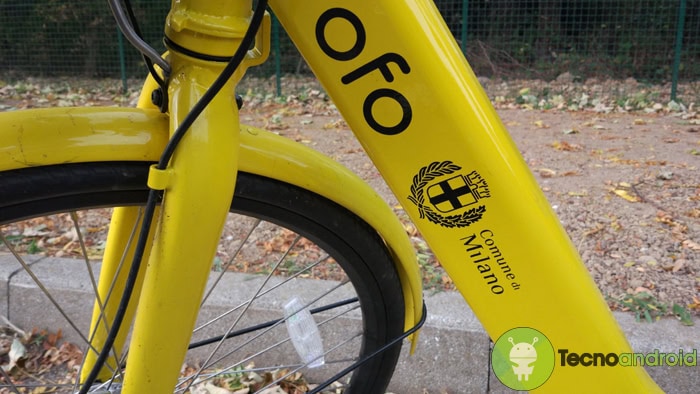 IMG_20171029_161134 OFO