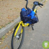 OFO