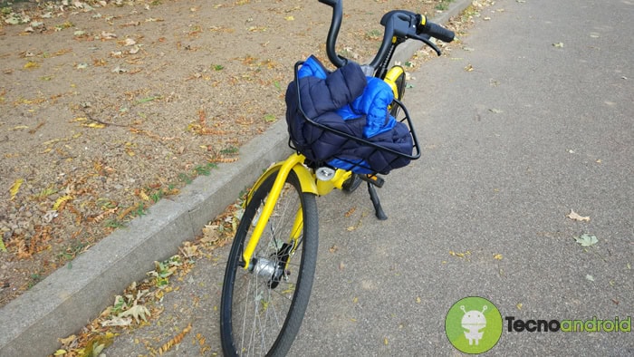 IMG_20171029_161224 OFO
