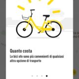 OFO