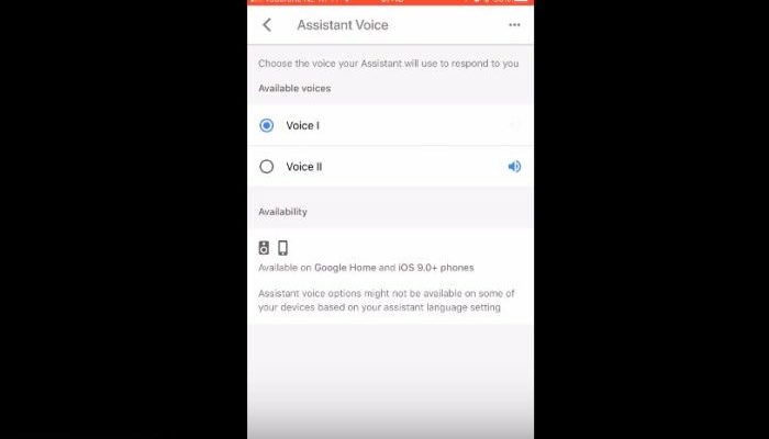 google assistant