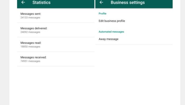 WhatsApp Business s