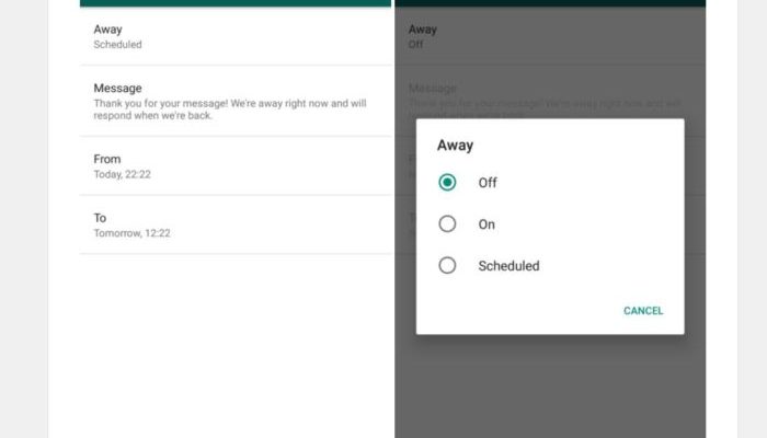 WhatsApp Business s
