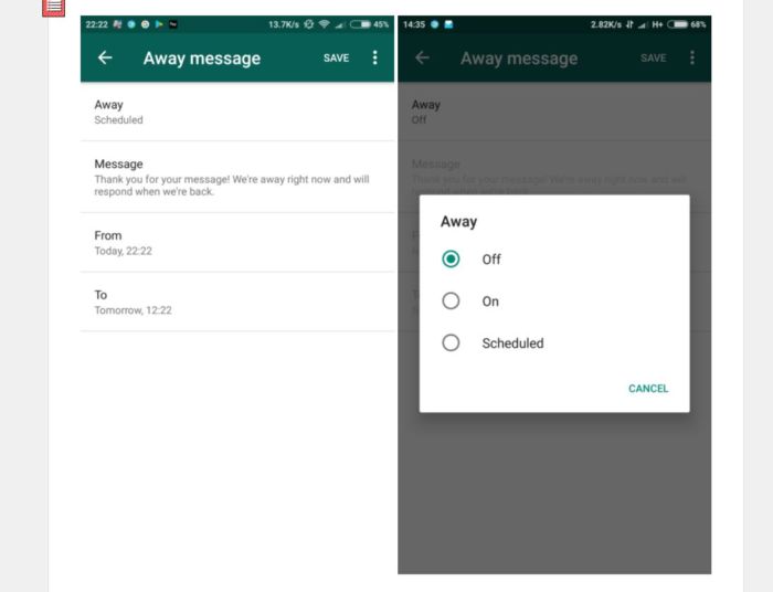 WhatsApp Business (3) WhatsApp Business s