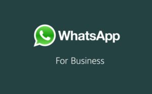 WhatsApp Business s