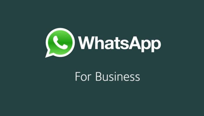 WhatsApp Business s